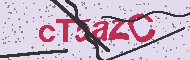Codice captcha
