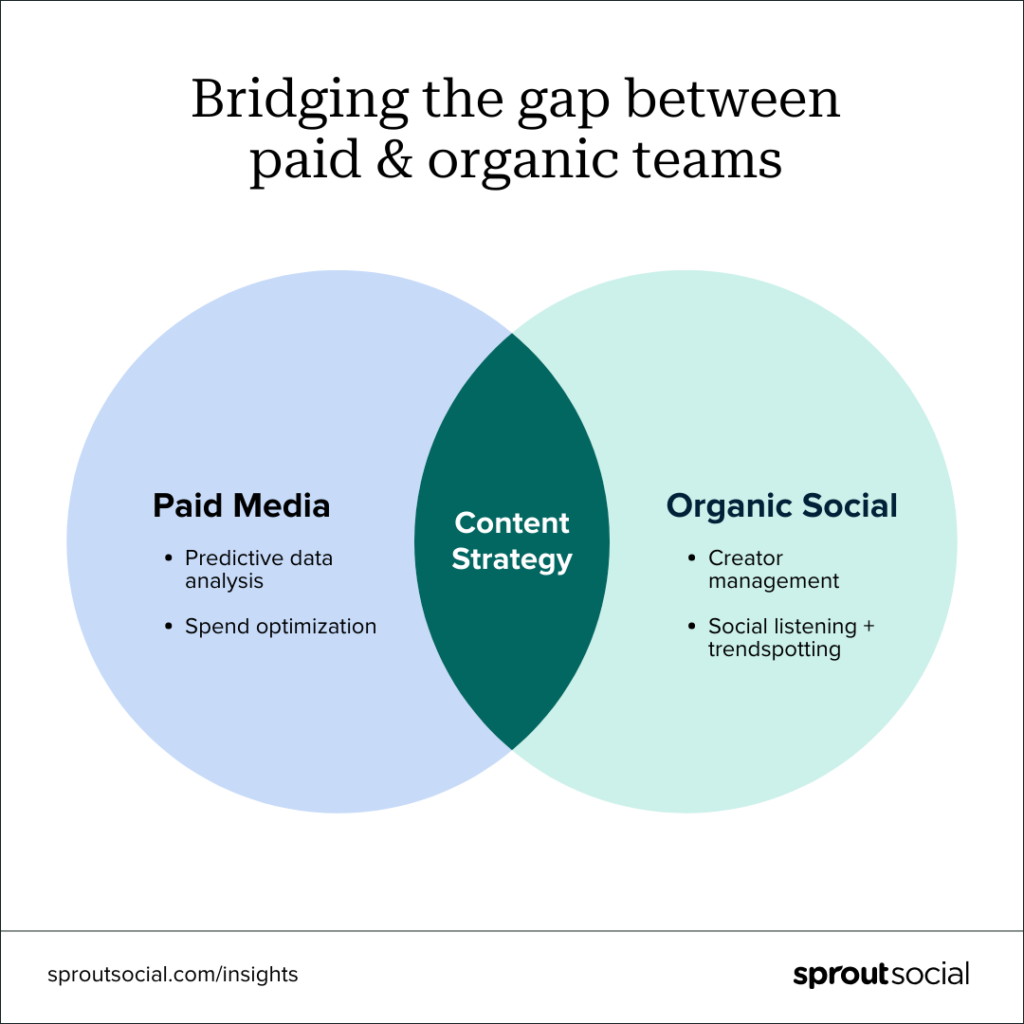 bridging the gap between paid and organic  when you compare cheap vs Affordable SEO 